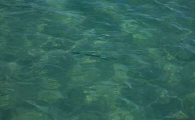 Turquoise colors crystal clear sea water background