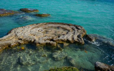 Stromatolites in the turquoise waters of the Bacalar lagoon, in Mexico
