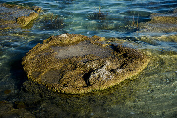 Stromatolites in the turquoise waters of the Bacalar lagoon, in Mexico
