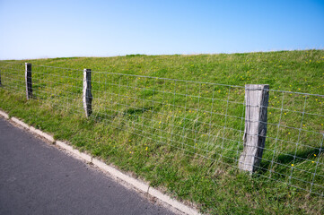 Fototapeta premium zaun aus draht mit holzpfosten an einer saftig grünen wiese mit blauem himmel