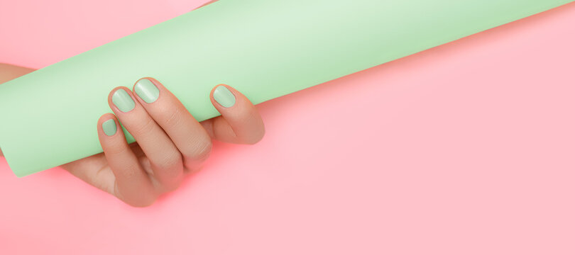 Rollnagel Bilder: Entdecke die Welt des Zeichnens!