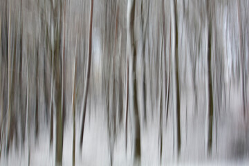 Pictorial snow storm streaks in woods in winter in Germany.