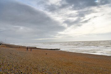 Walking dogs on the beach, Hove, UK