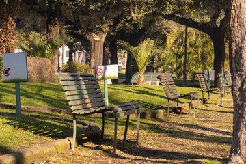 Empty benches in the park