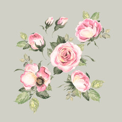  Abstract illustration of painted roses with foliage