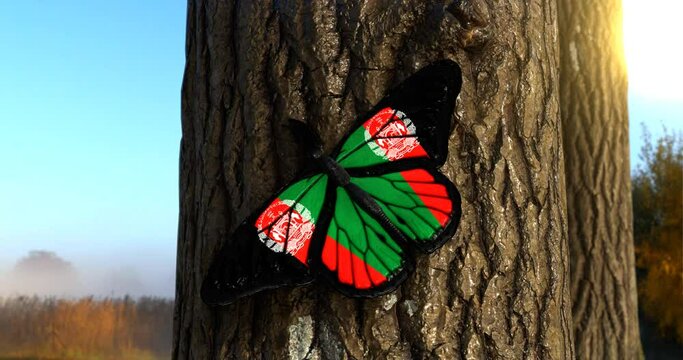 Flag of Afghanistan on Butterfly Wings Realistic 4K UHD 60FPS