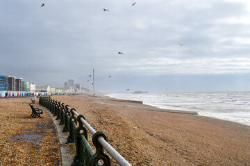 Brighton Beach on a stormy day with Seagulls flying, Sussex, UK