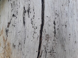 old wood texture - 02