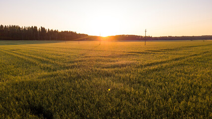 Sunset over the cornfield of the countryside town of Skinnarby, Finland. © Henrik Lobbas