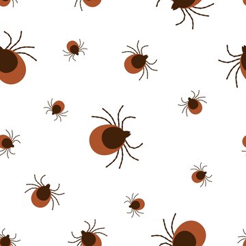 Vector realistic isolated seamless pattern with tick insects for decoration and covering on the white background. Flat illustration. Concept of mite insect danger