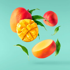 Fresh ripe mango falling in the air