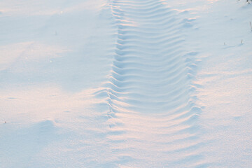 Car tracks on the snow