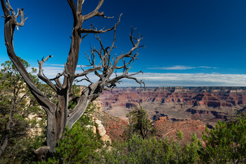 Scenic view of the Grand Canyon, in the Grand Canyon National Park, in the State of Arizona, USA