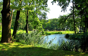 Kisielów , Zarzecze © woodyd