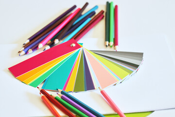 大量のカラフルな色鉛筆と色サンプルの様子