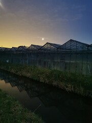 
beautiful sky above the greenhouses in holland
