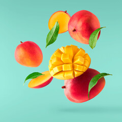 Fresh ripe mango falling in the air