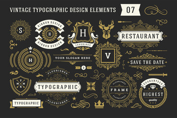 Fototapeta Vintage typographic decorative ornament design elements set vector illustration obraz