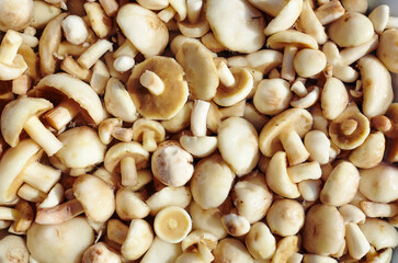 Fresh uncooked mushrooms background