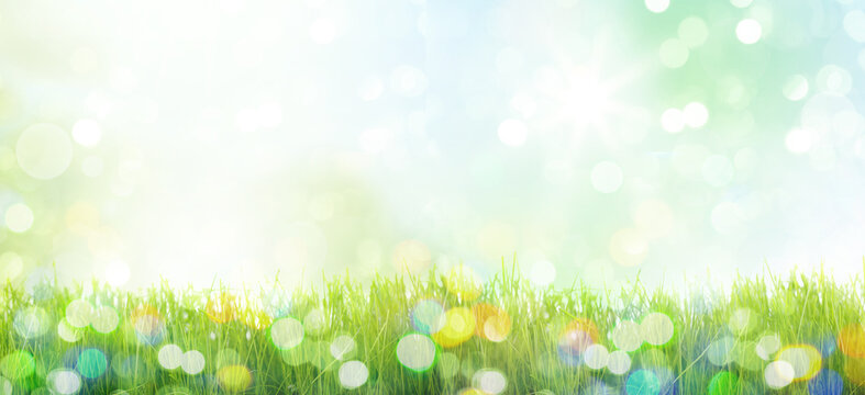 Spring and summer background with green fresh grass and bokeh.
