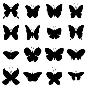 Butterfly set icon, logo isolated on white background
