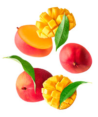 Fresh ripe mango falling in the air