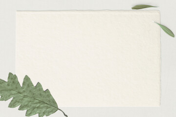Dried leafy psd on paper card background
