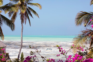 Beautiful paradise landscape of Zanzibar island. Tropical climate, beach with turquoise ocean,...