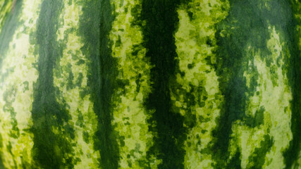 close up of water melon skin