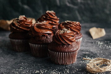 Delicious chocolate cupcakes. Cupcakes on a concrete table. Chocolate biscuit and chocolate ganache