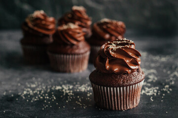 Delicious chocolate cupcakes. Cupcakes on a concrete table. Chocolate biscuit and chocolate ganache