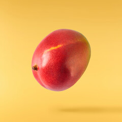 Fresh ripe mango falling in the air