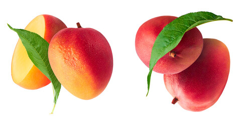 Fresh ripe mango falling in the air