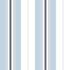 Stripe pattern in blue and white. Seamless vertical lines for dress, trousers, shorts, shirt, bed sheet, or other modern spring or summer fashion or home textile print. Classic design.