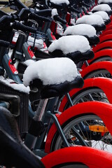 Après la neige à Lyon