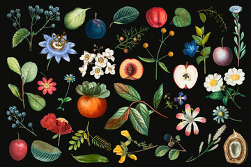 Fruit and flower vintage set hand drawn illustration - obrazy, fototapety, plakaty