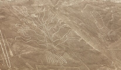 Tree and hands geoglyphs, Nazca lines and geoglyphs