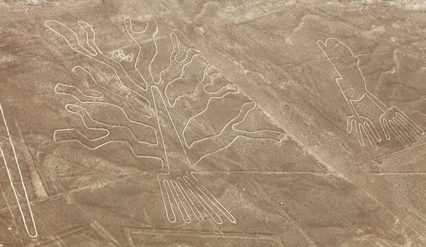 Tree and hands geoglyphs, Nazca lines and geoglyphs