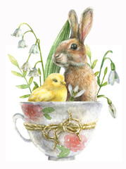 Watercolor illustration of a cute Easter bunny with a yellow chicken sitting in a cup with white flowers, lilies of the valley and snowdrops