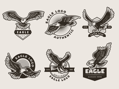 Eagles emblem. Stylized logotypes and badges with freedom birds wings silhouettes motorbike recent vector pictures. Emblem logo eagle, wildlife power badge illustration