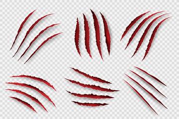 Tiger scratches. Danger scary claw symbols for horrors monster paws with blood shapes decent vector set. Surface zombie claw trace graphic illustration - obrazy, fototapety, plakaty
