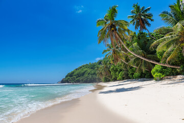 Sunny tropical white sand beach with coco palms and the turquoise sea on Caribbean island.