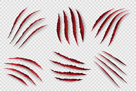 Tiger scratches. Danger scary claw symbols for horrors monster paws with blood shapes decent vector set. Surface zombie claw trace graphic illustration