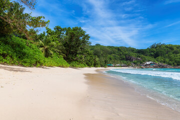 Tropical Sunny beach and coconut palms on Seychelles. Summer vacation and tropical beach concept.	