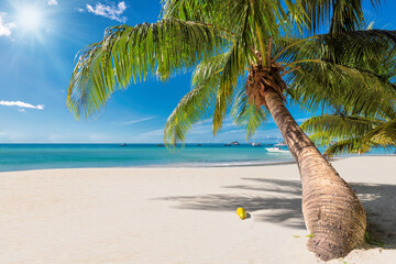 Tropical Sunny beach and coco palms on white sand in paradise island. Summer vacation and tropical...