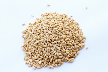 Organic raw wheat grains on a white background