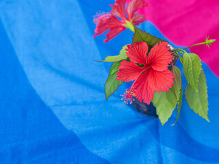 Top view of red hibiscus flower in a vase placed on the table. Space for text