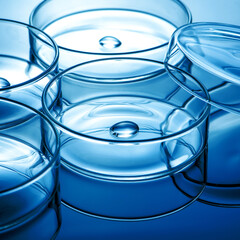 Clean glass petri dish with liquid drop inside over blue light background
