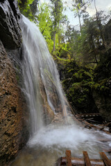 Obraz premium maly kysel