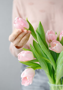 pink tulips with green leaves in a glass vase, a woman holds tulip buds in her hands, florist, floristry, gift, bouquet, bouquet for a girl, a bouquet of tulips, place for text, place for an inscript